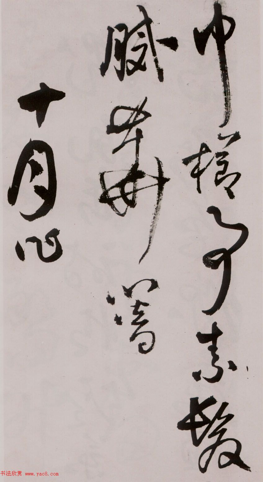 졶ʫ