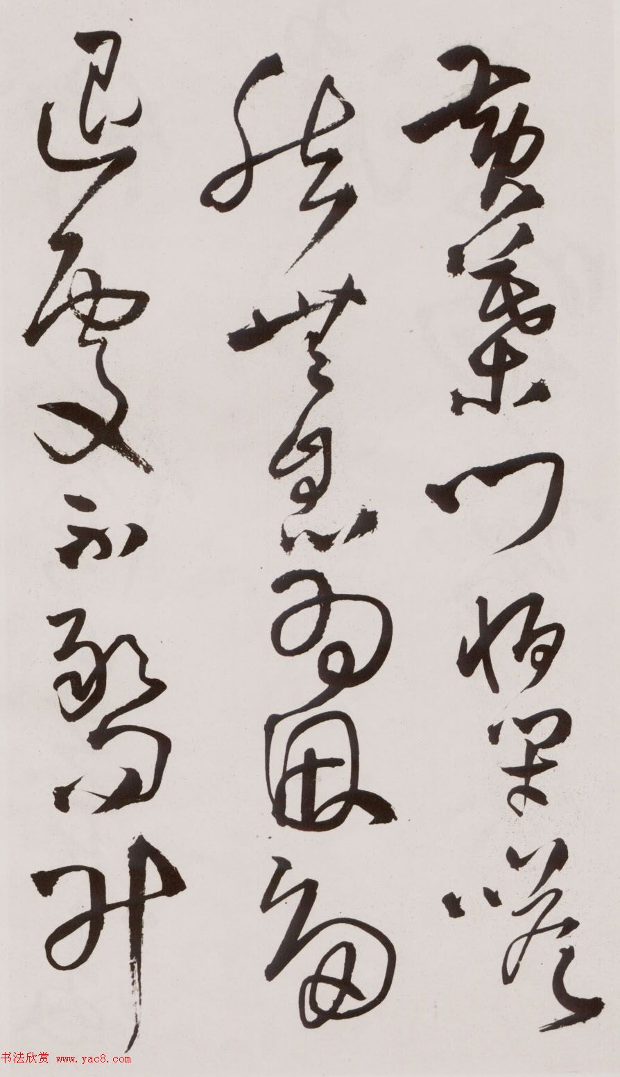 졶ʫ