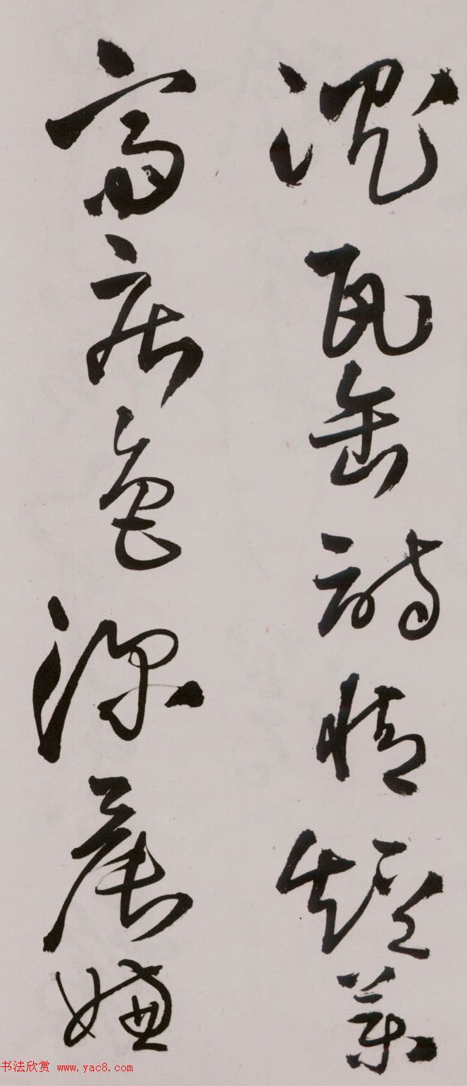 졶ʫ