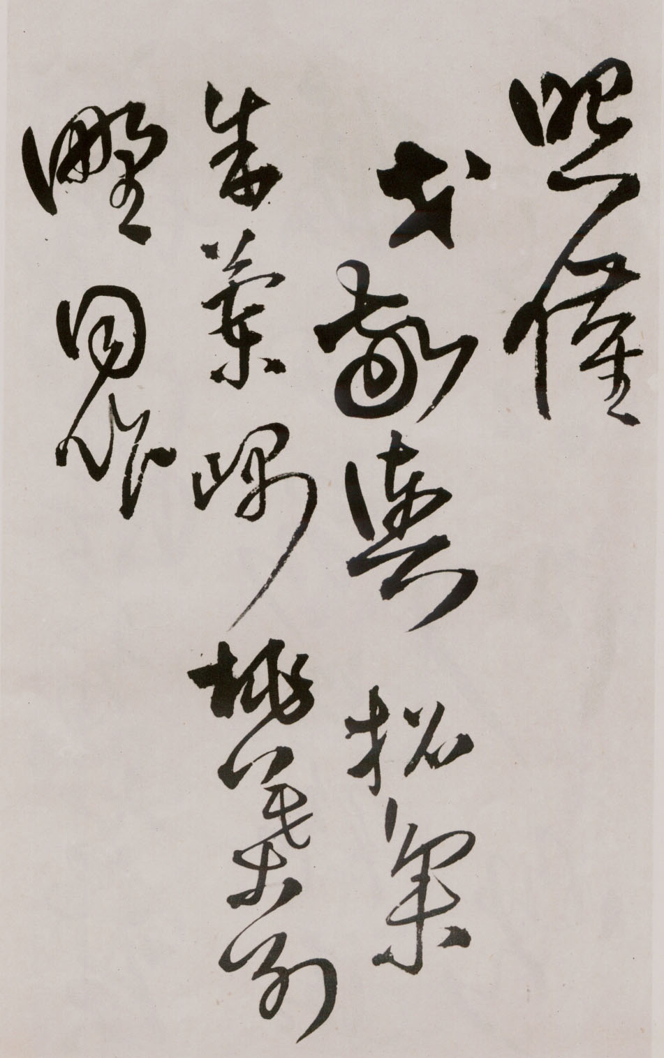 졶ʫ