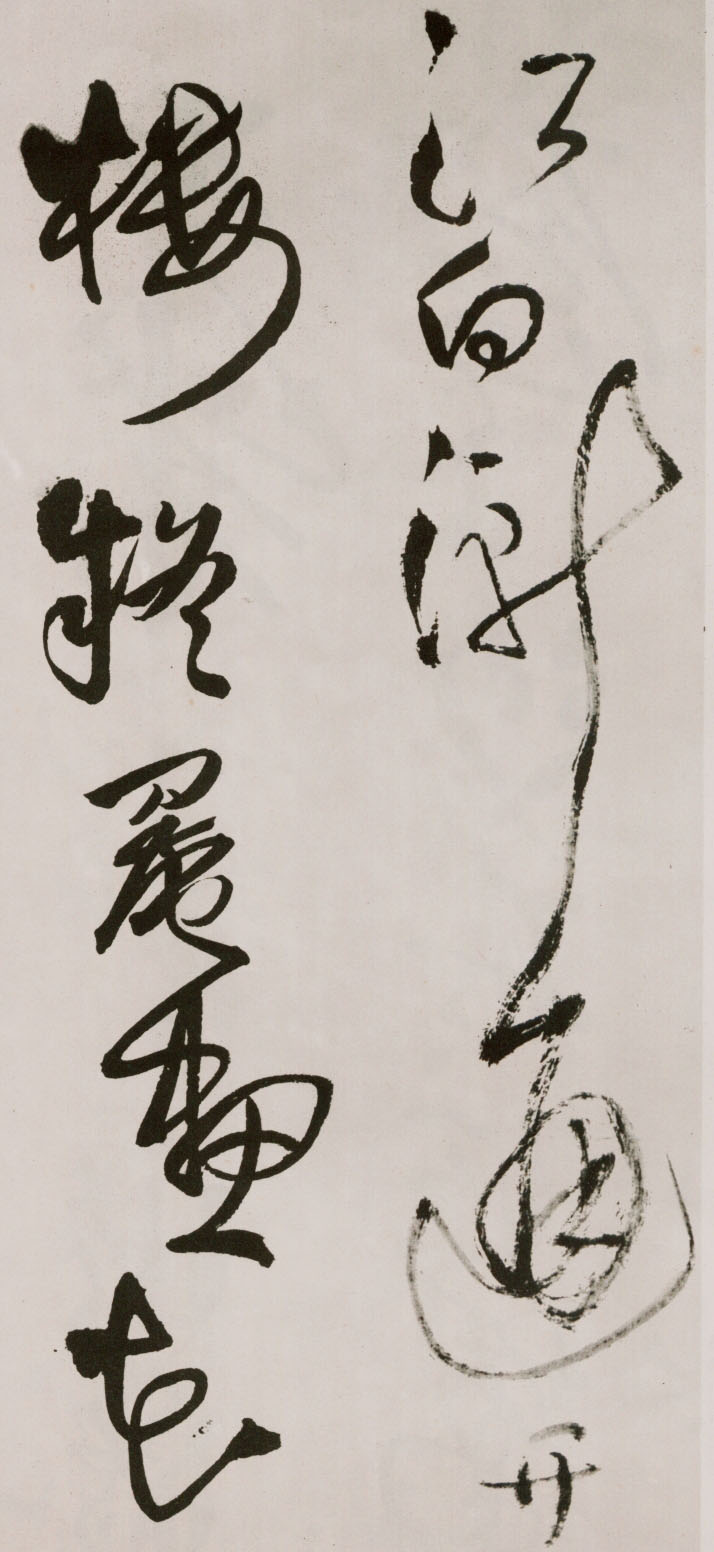 졶ʫ
