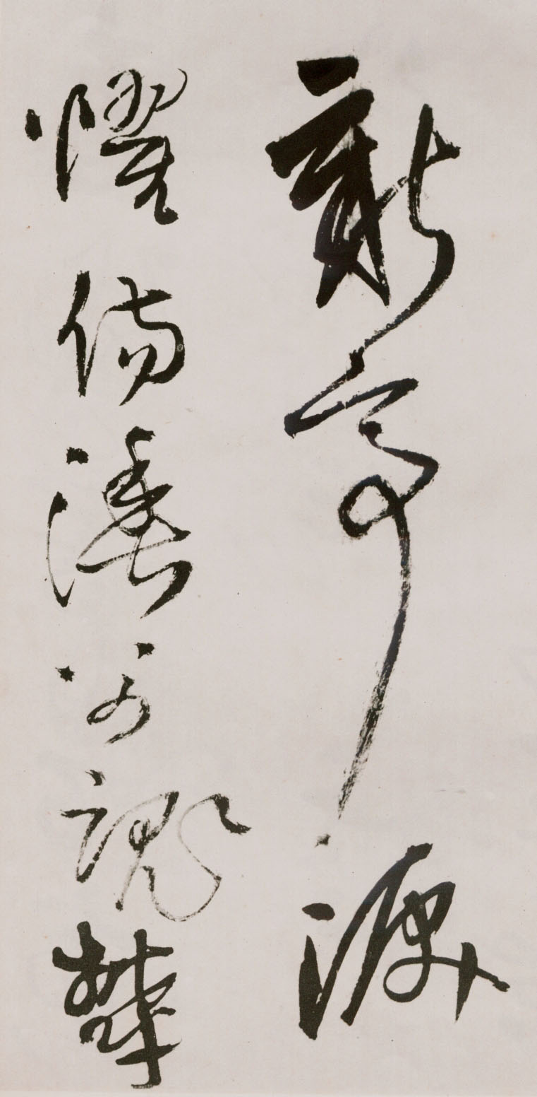 졶ʫ