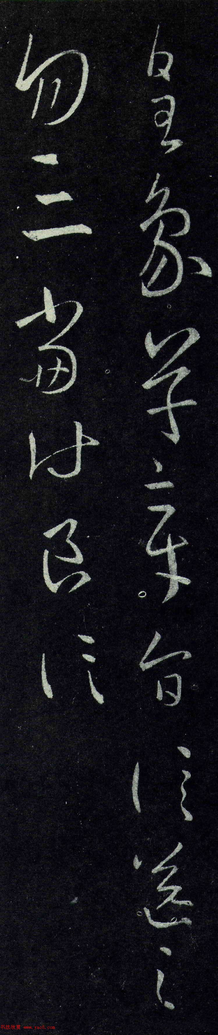 ֮鷨Ͳ顶