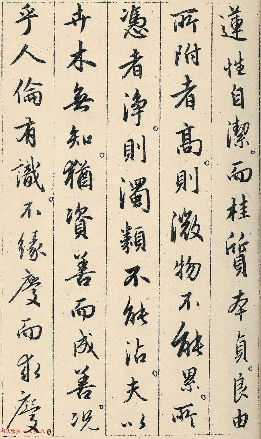 \49ʥ