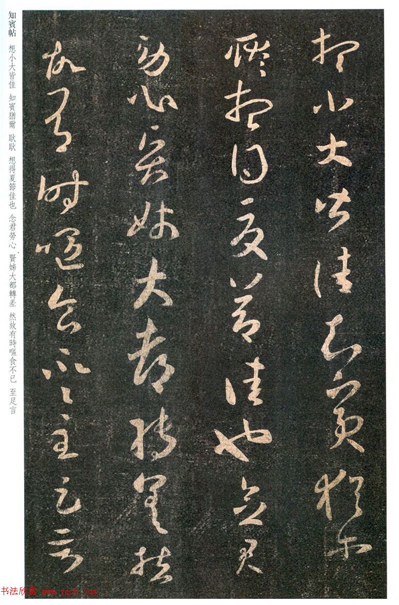 王羲之草书《知宾帖》5种版本