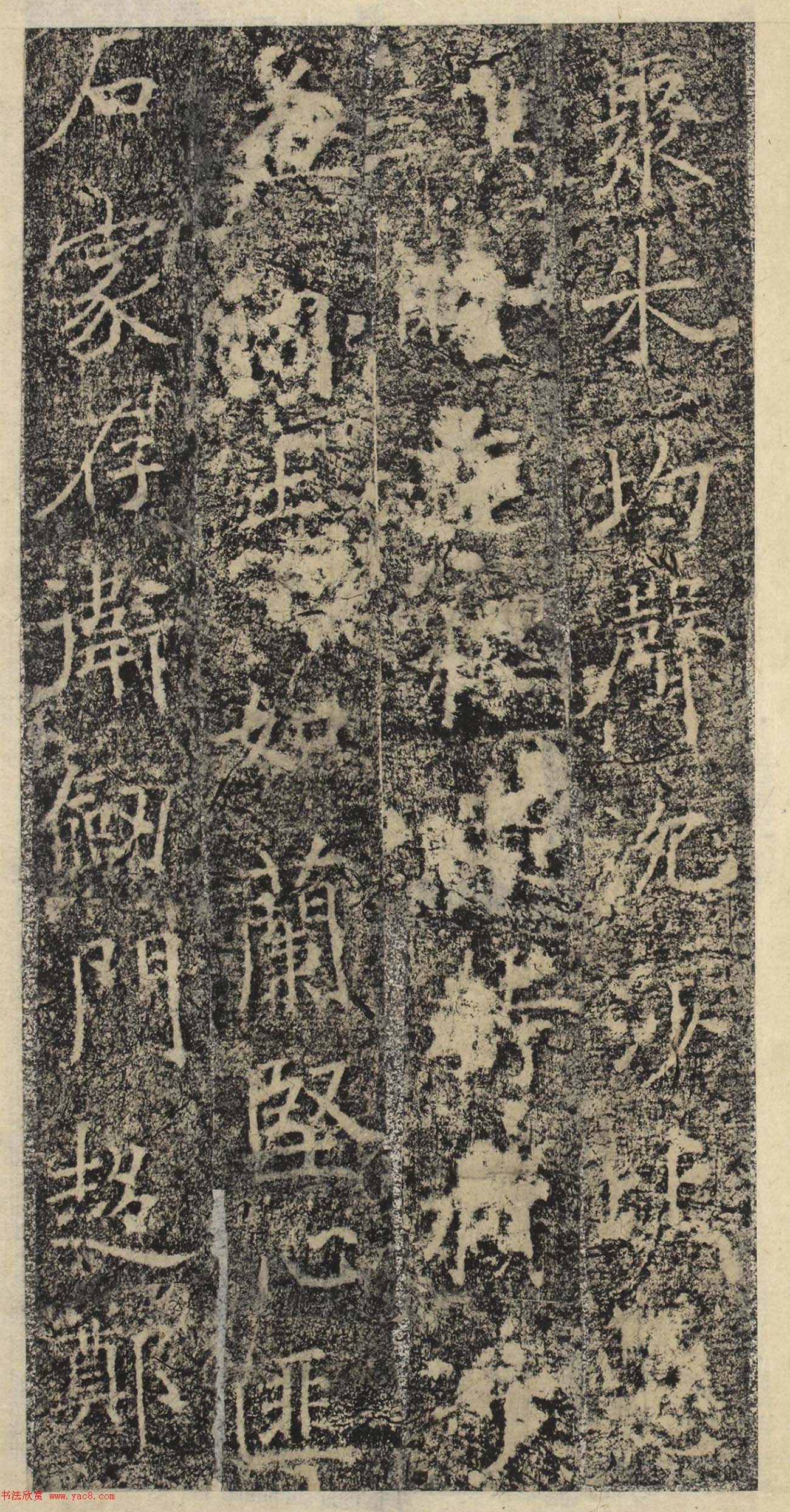 ƴ顶˱