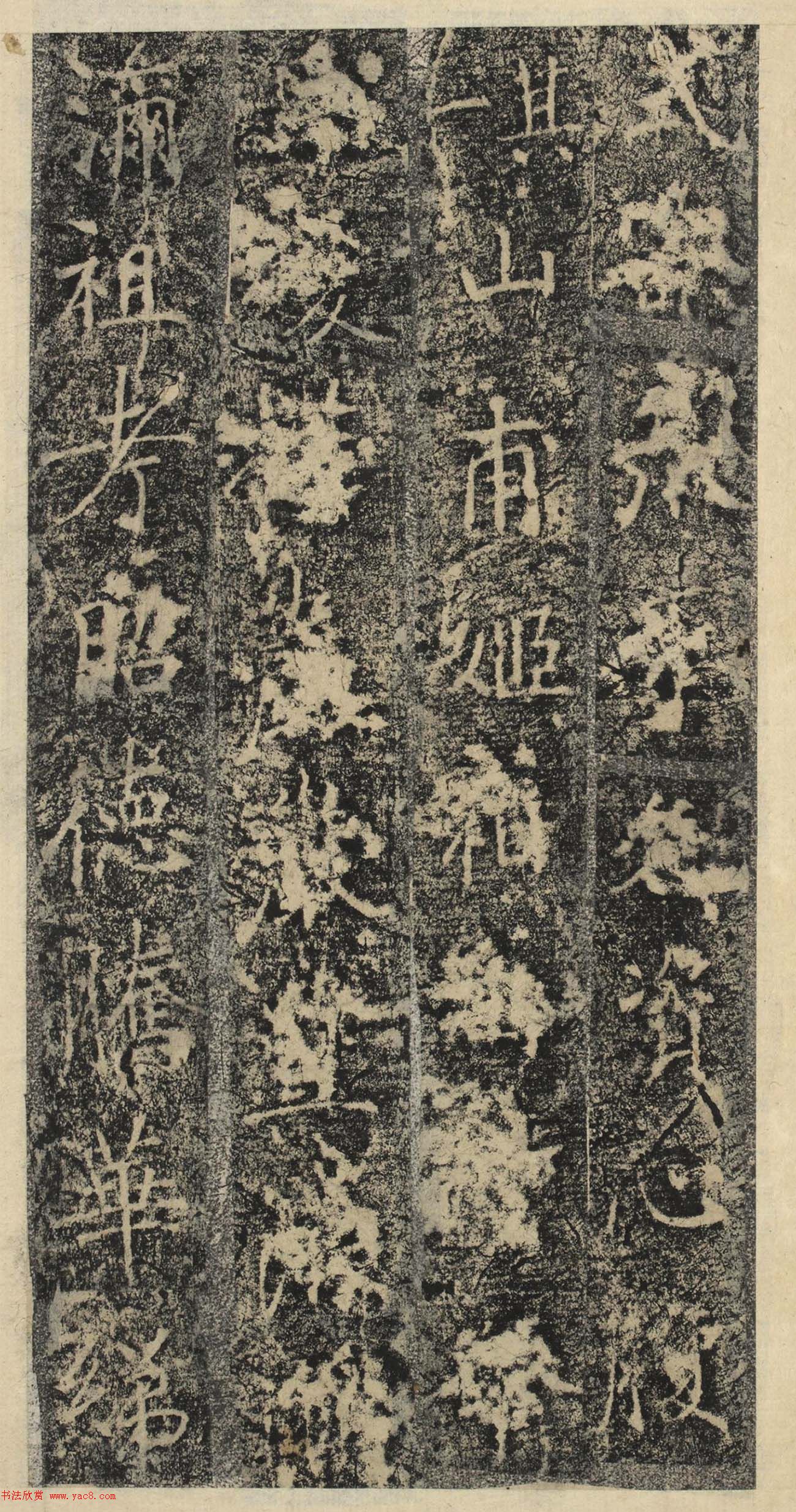 ƴ顶˱