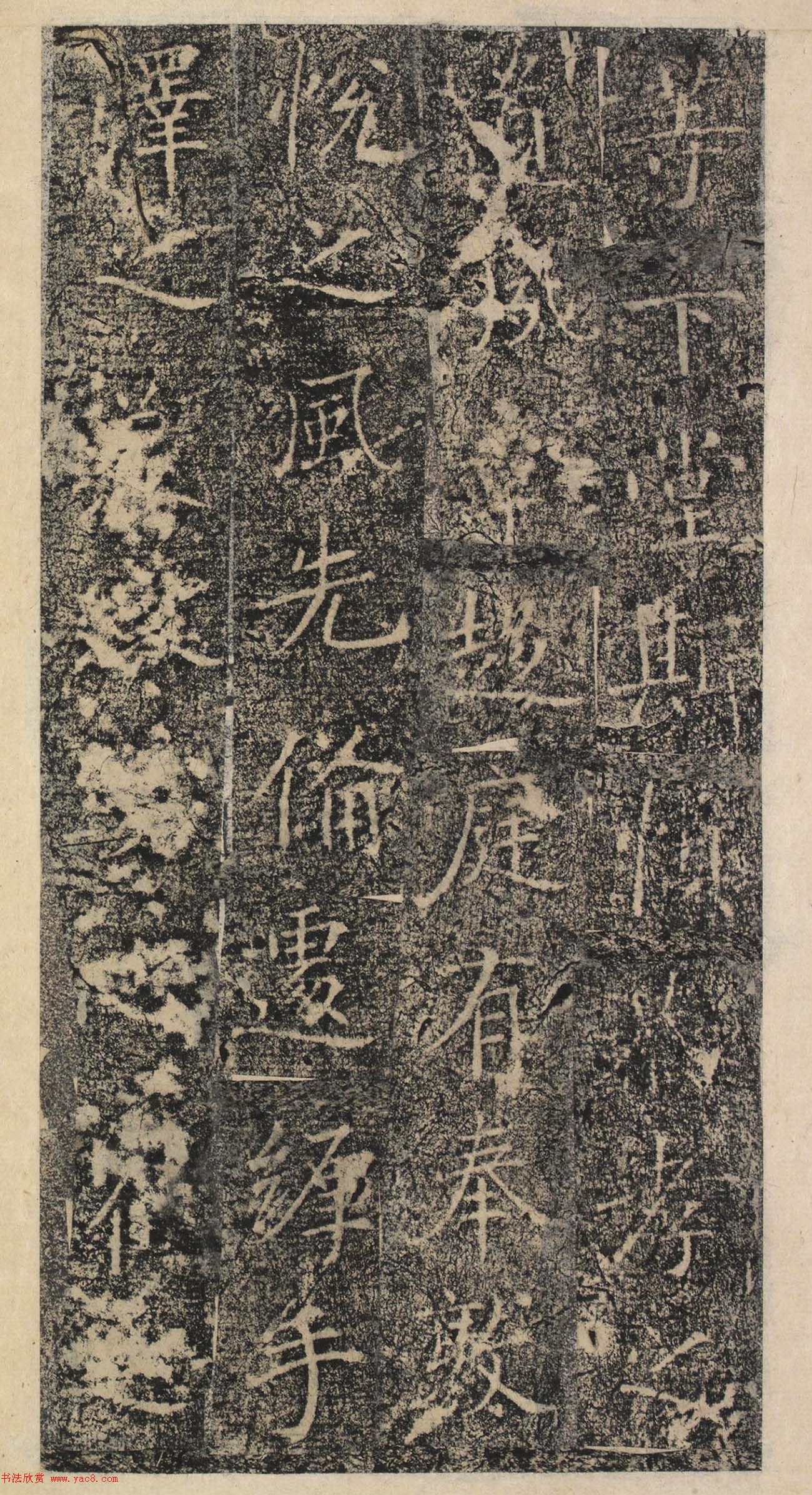 ƴ顶˱