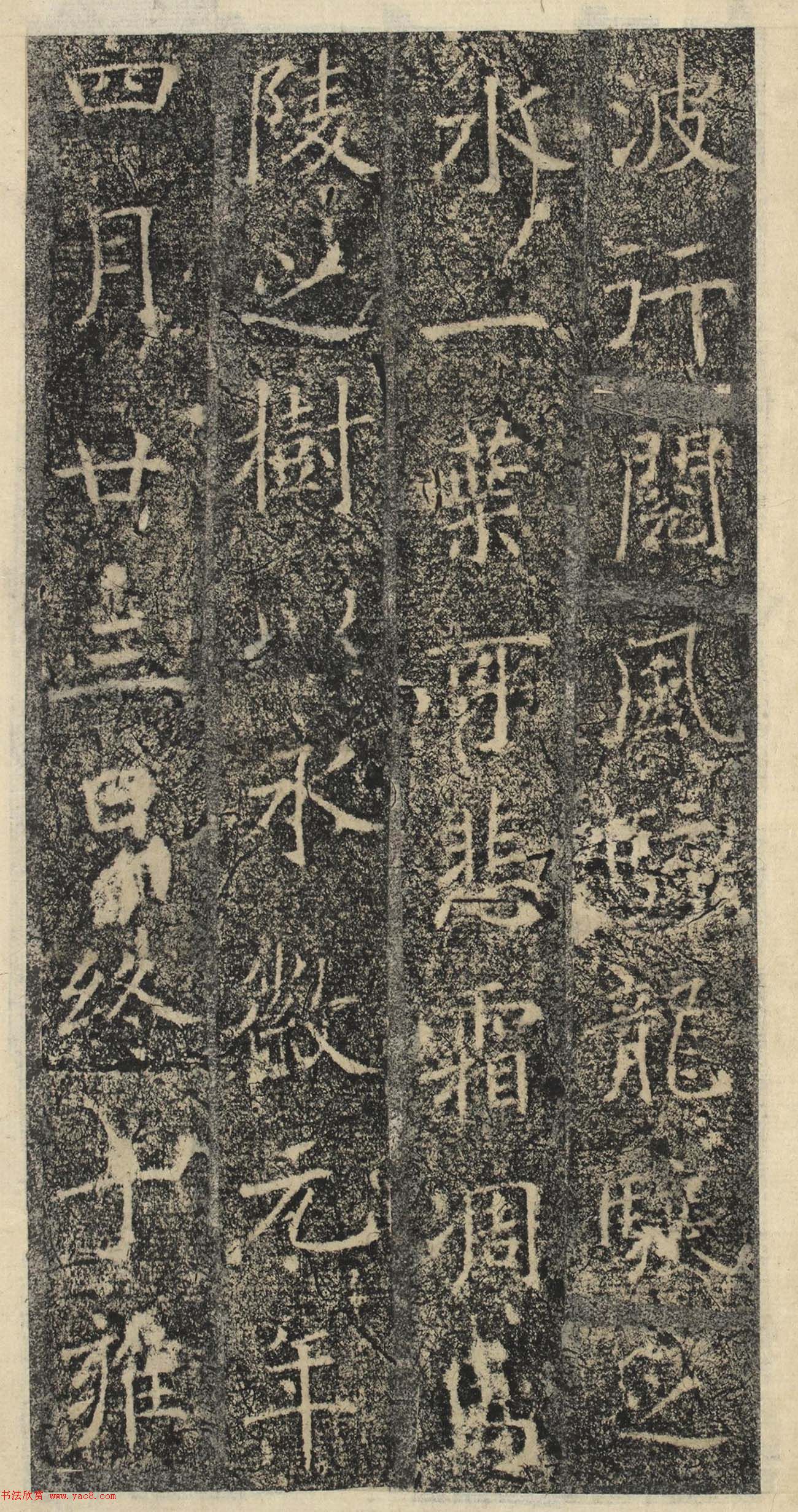 ƴ顶˱