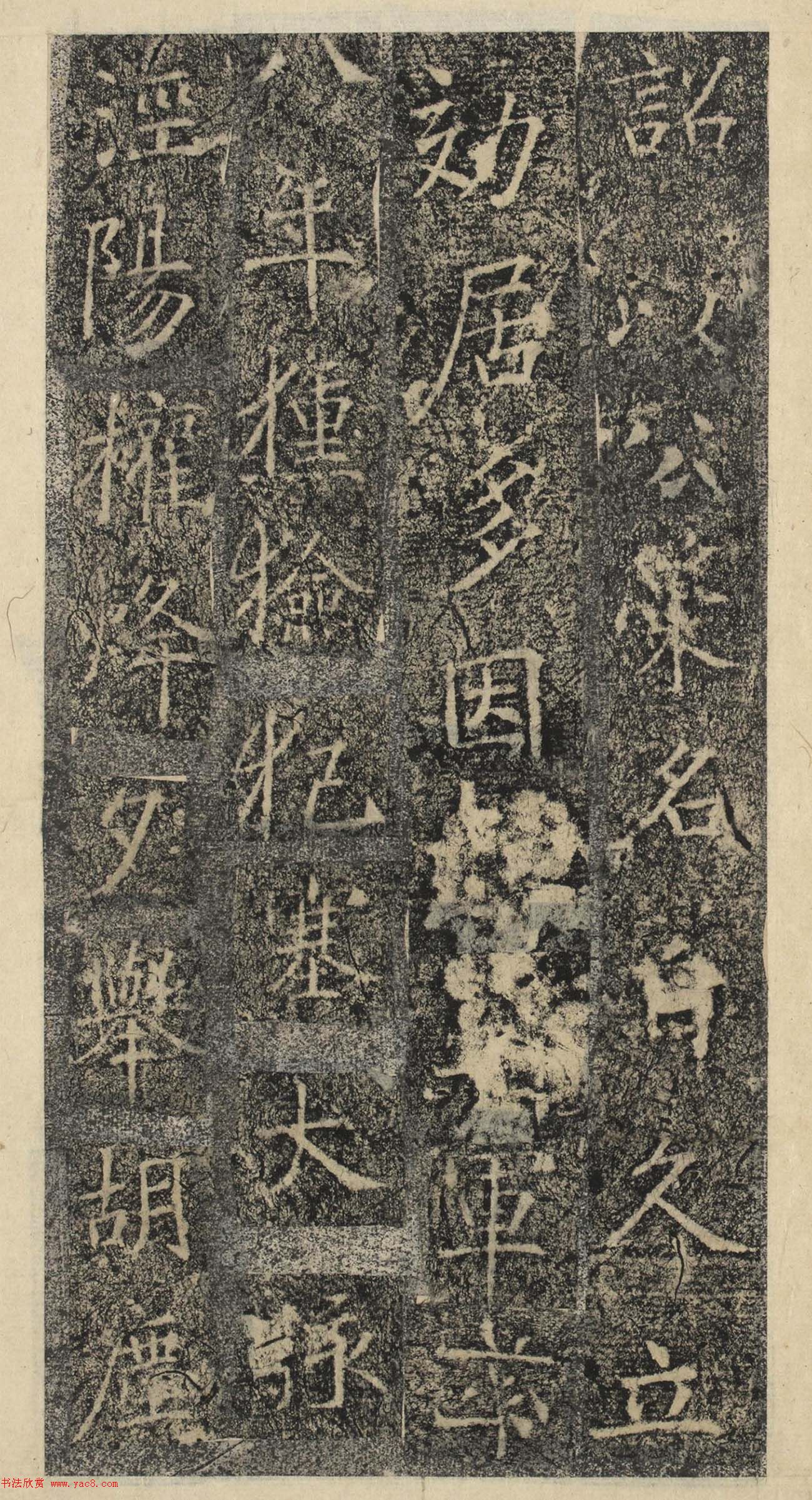 ƴ顶˱