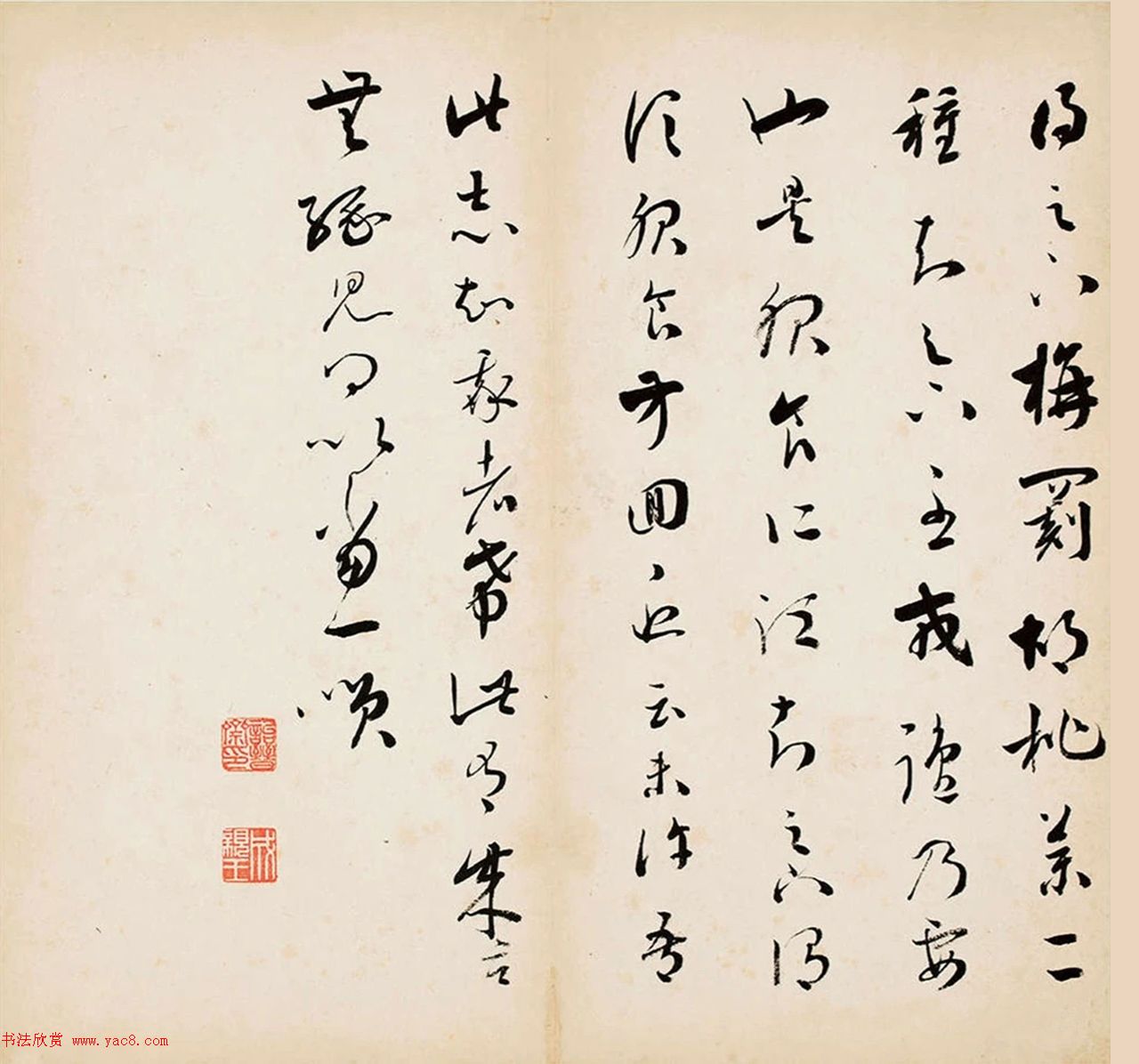 鷨ʮֲҳ