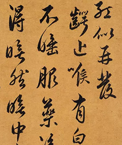 顶ڴ