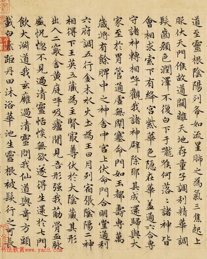 赵孟頫49岁小楷《临黄庭经》卷