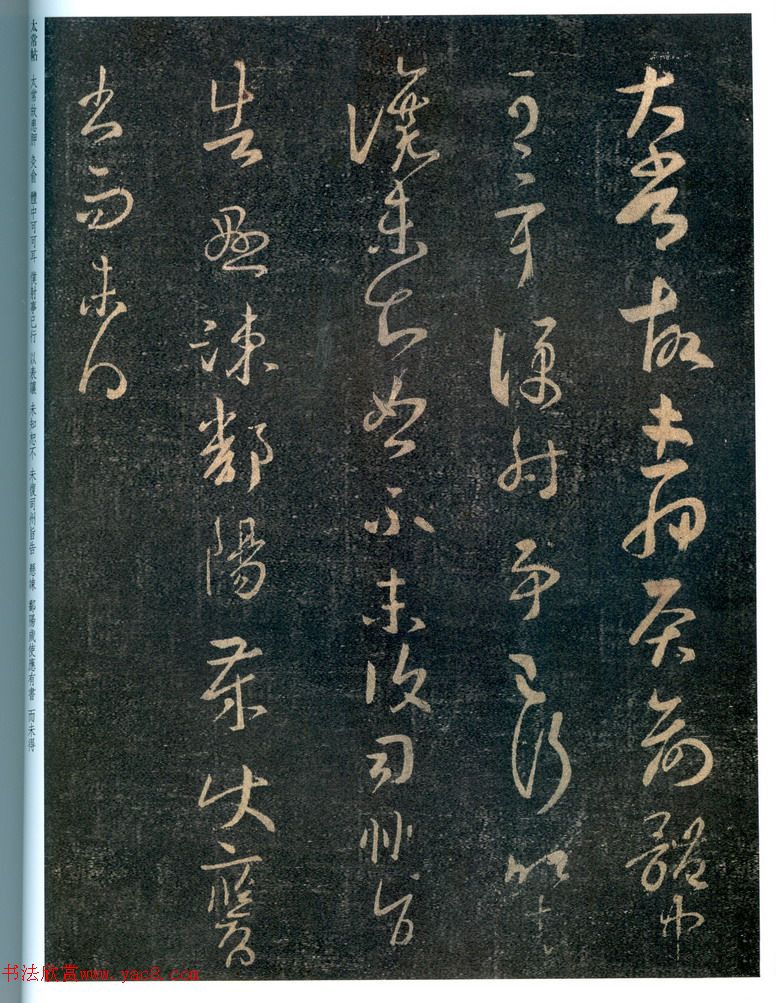 ֮顶̫