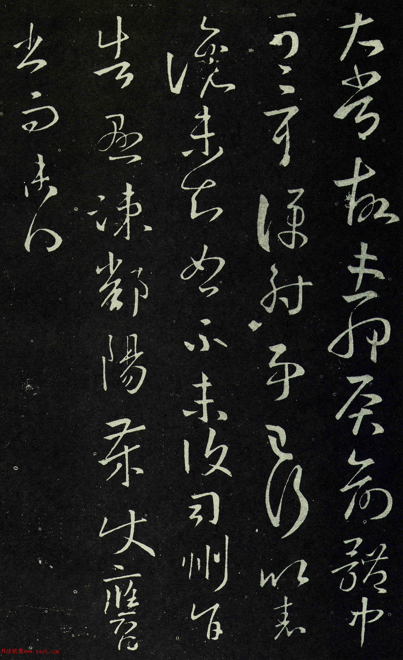 ֮顶̫