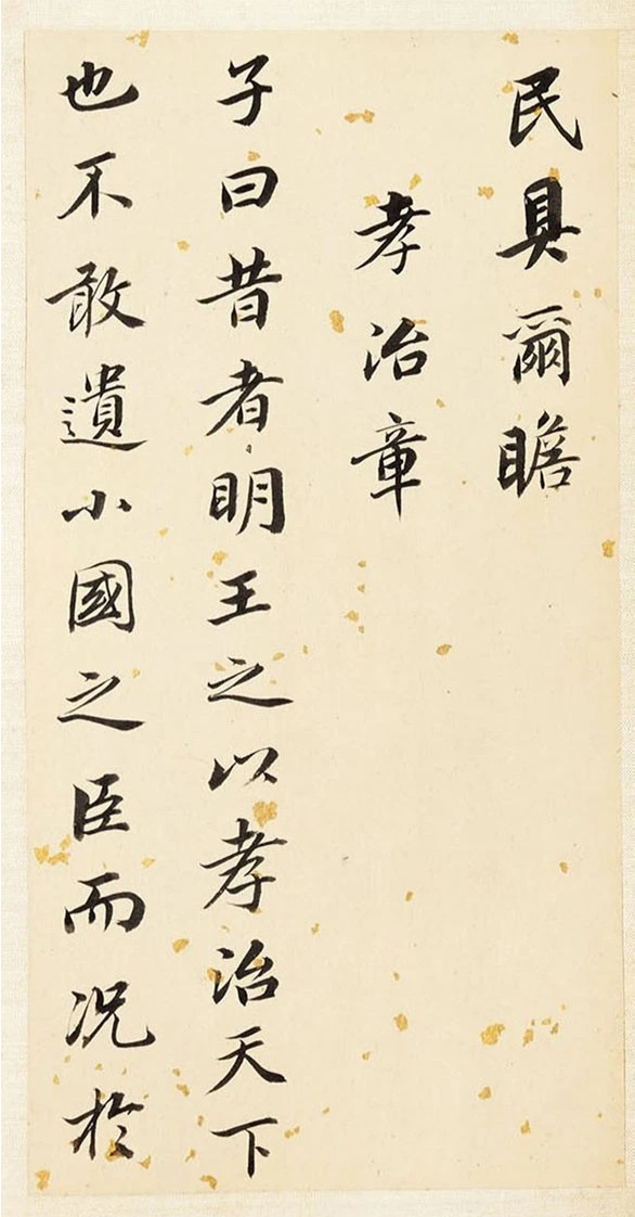 61顶Т