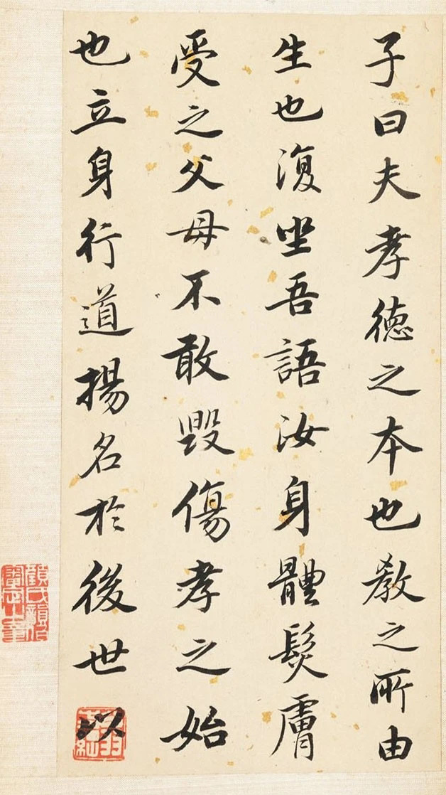 61顶Т
