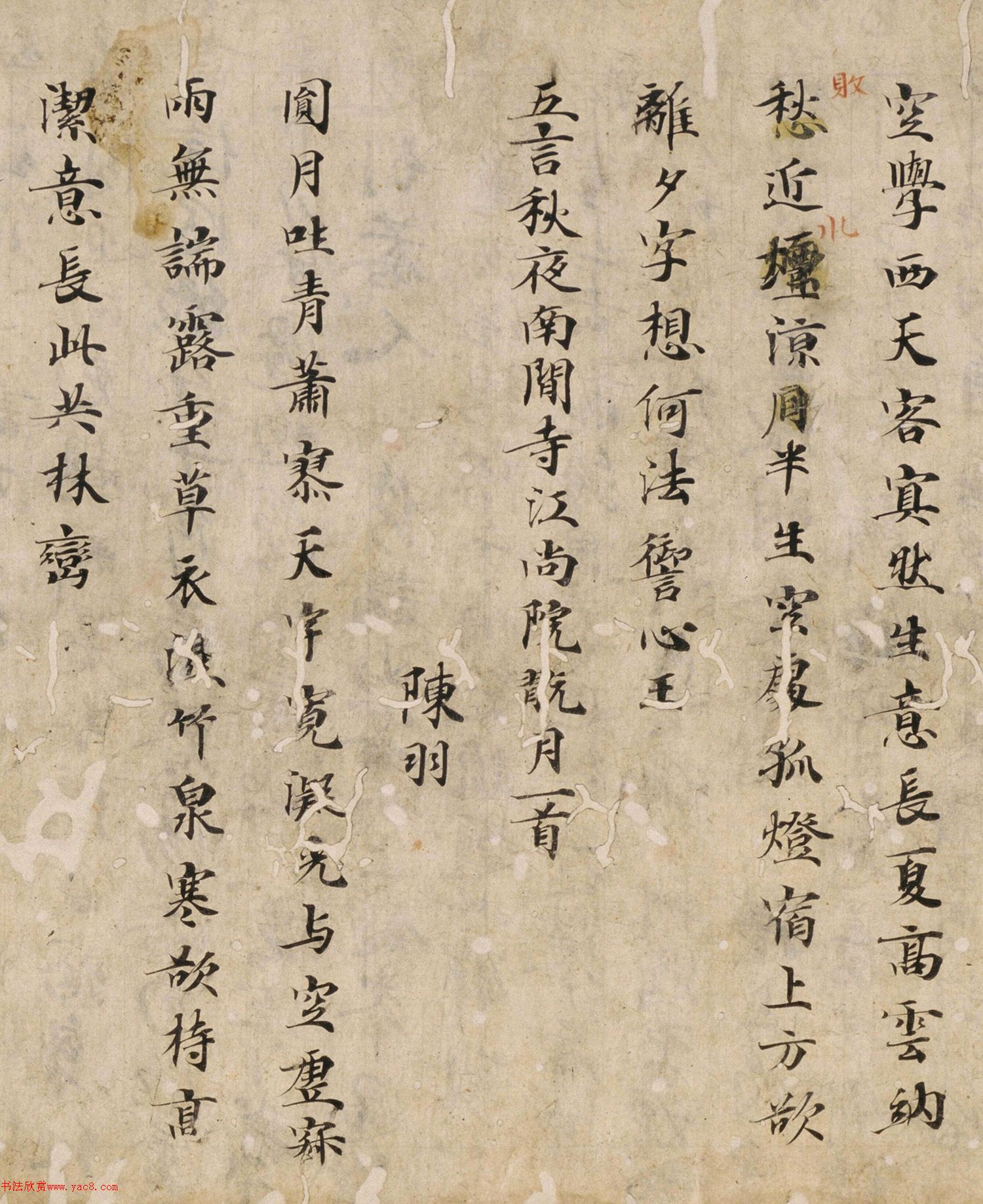 ƴ麺ʫƪ