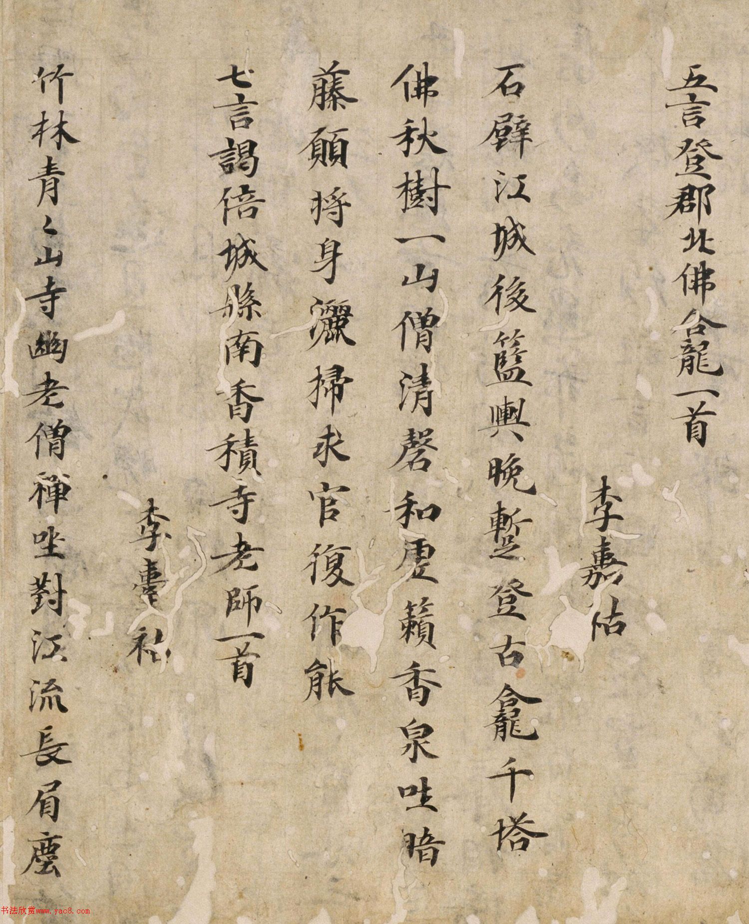 ƴ麺ʫƪ