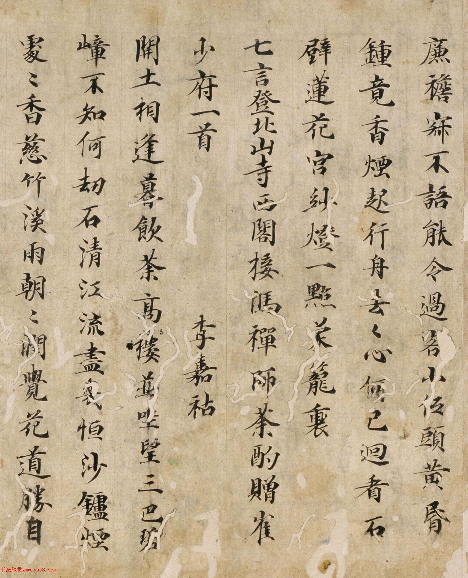 ƴ麺ʫƪ