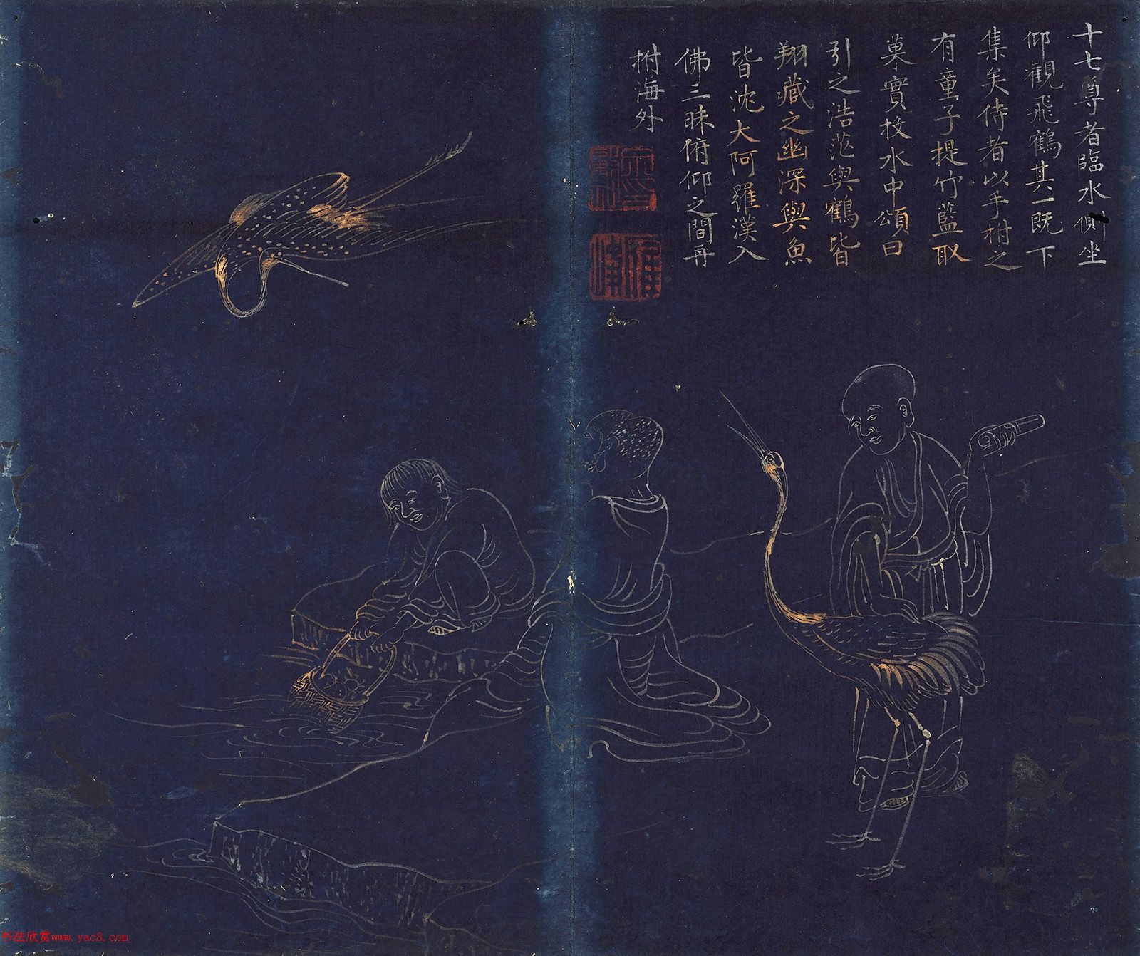 ޺+顶