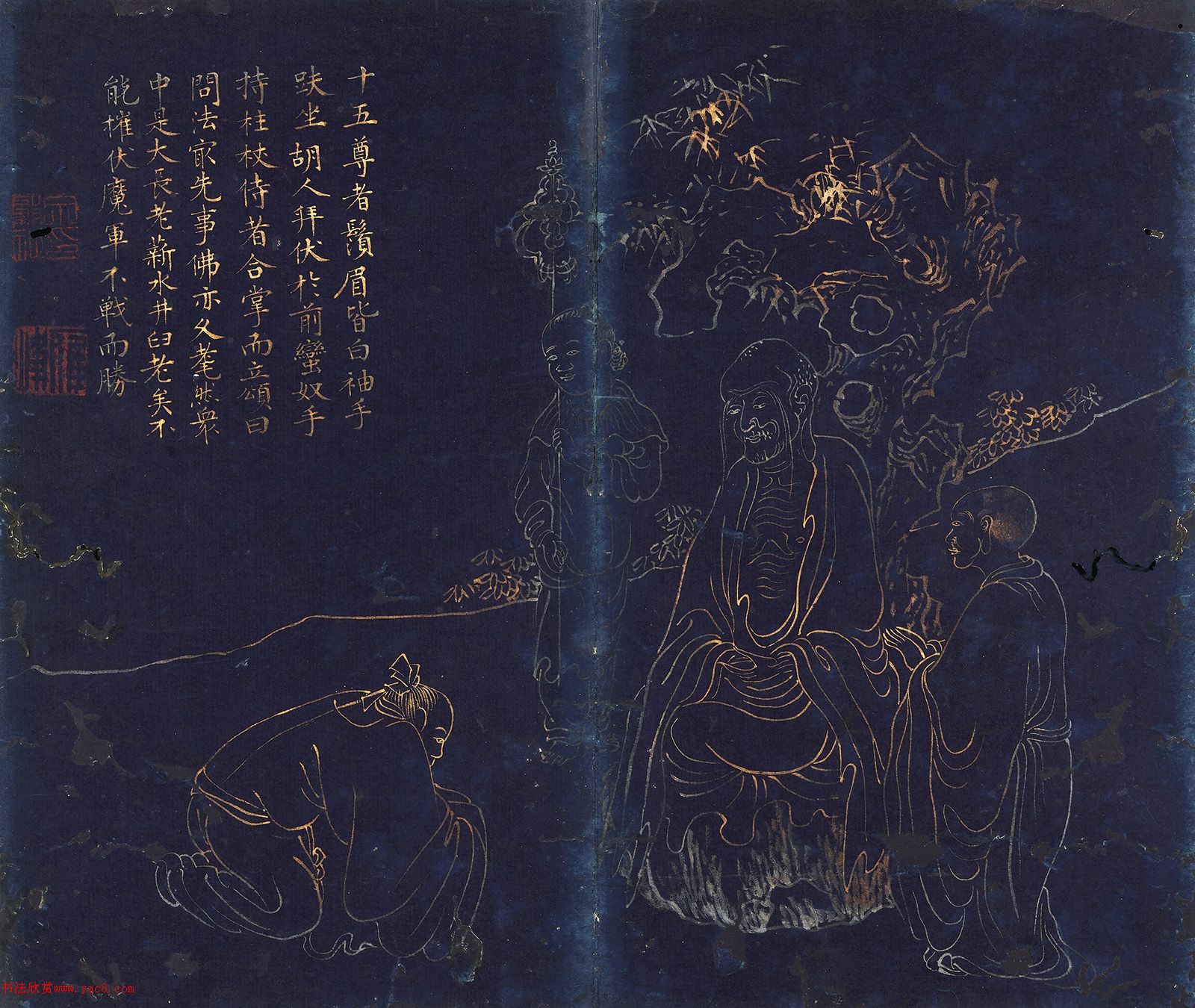 ޺+顶