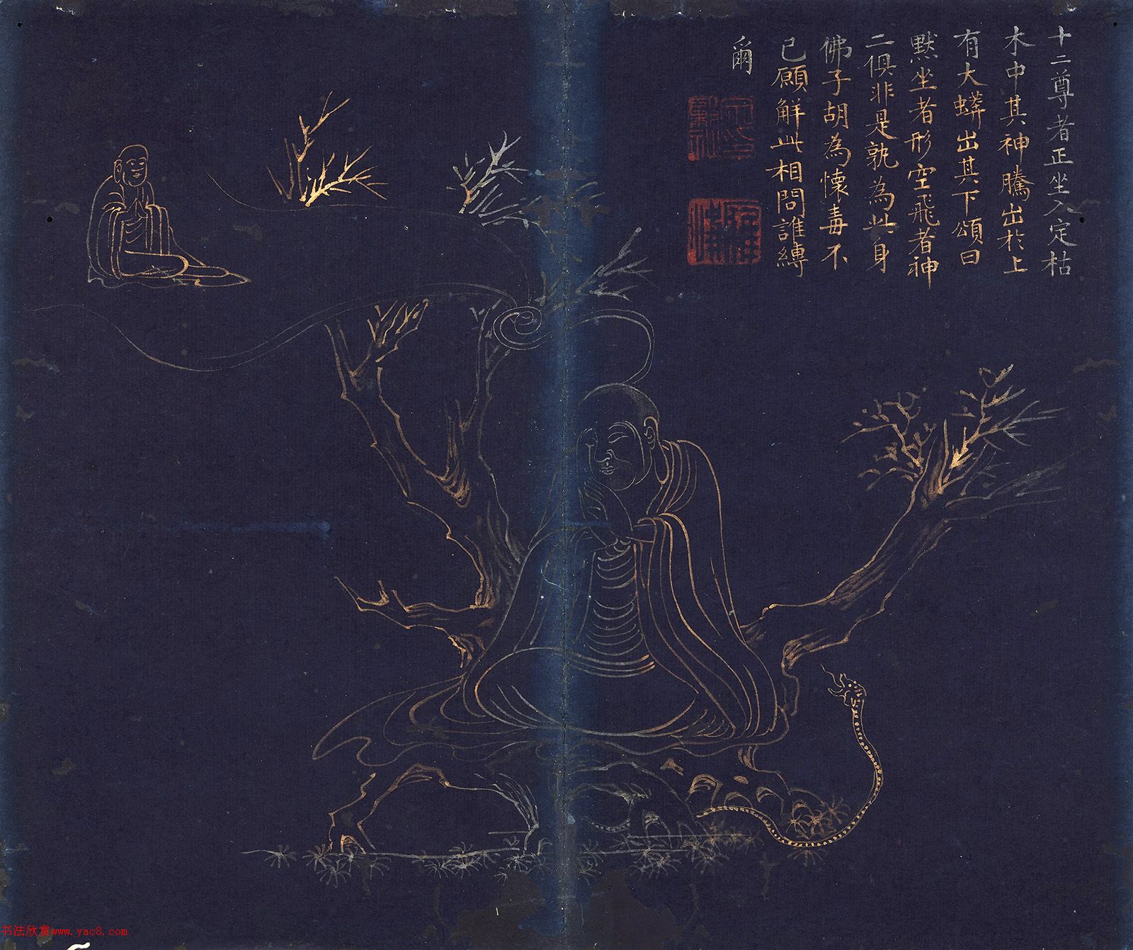 ޺+顶