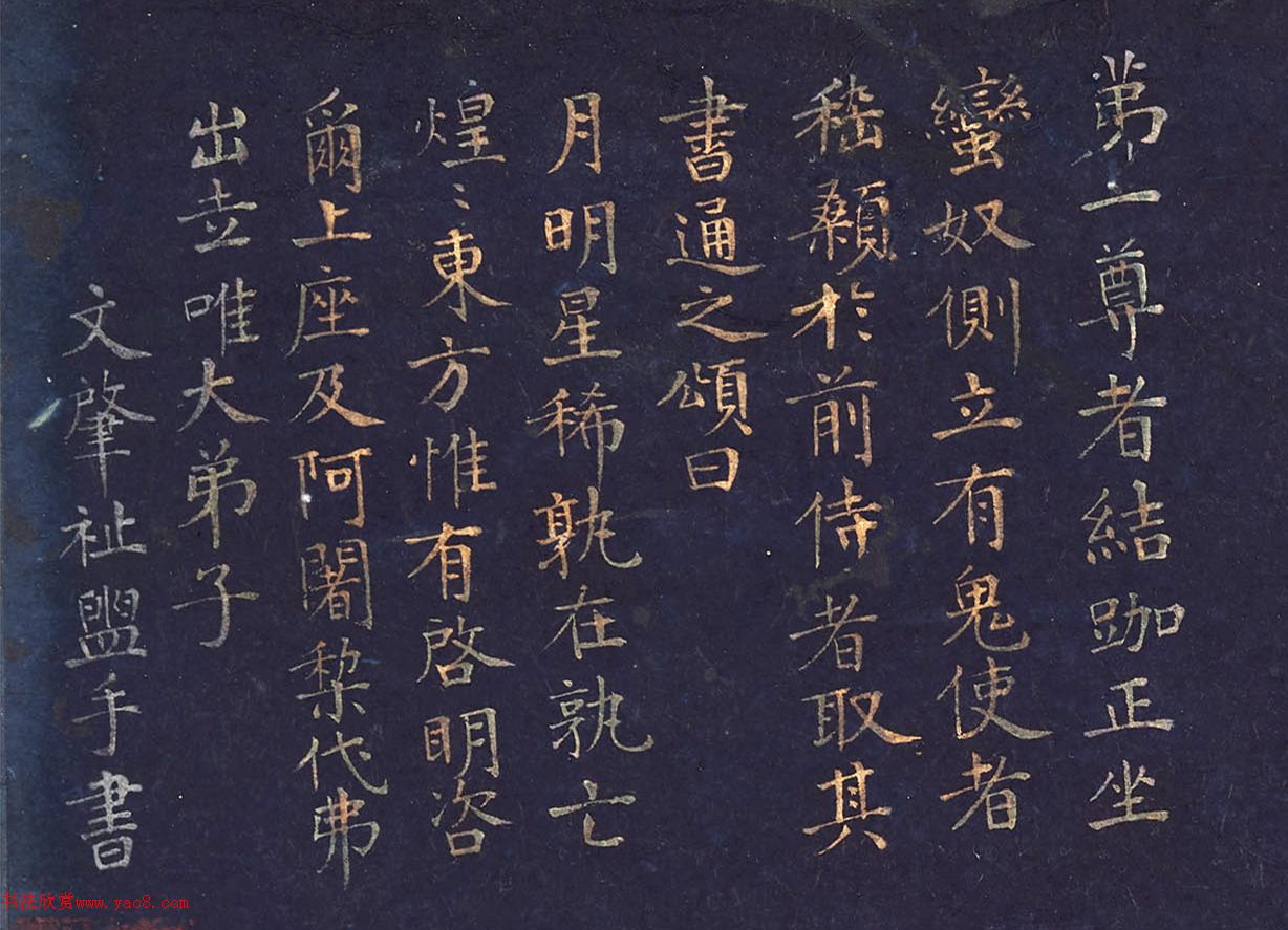 ޺+顶