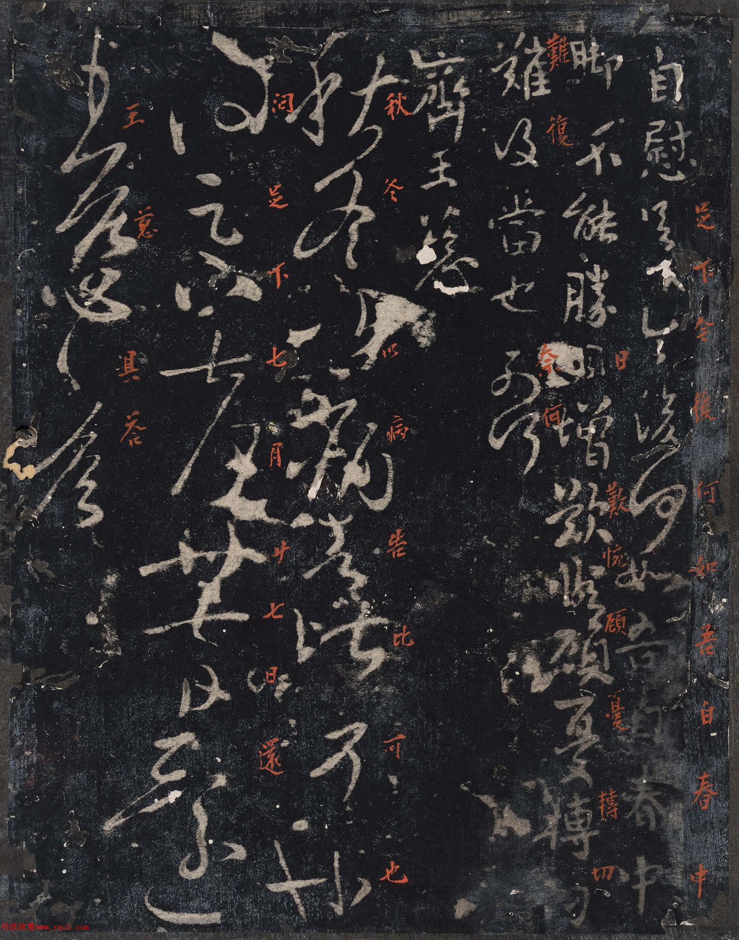 ɽʮ9ȫ