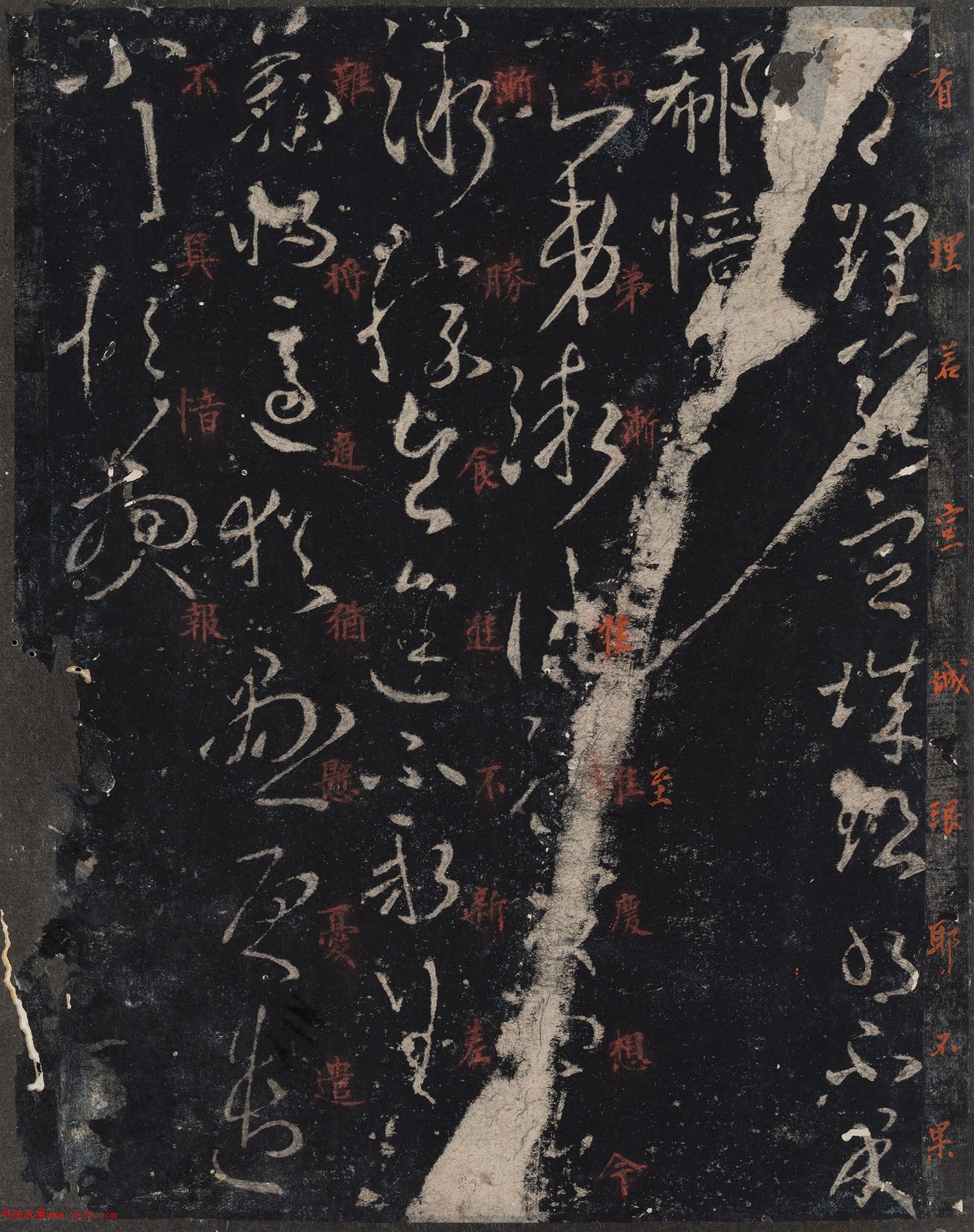 ɽʮ9ȫ