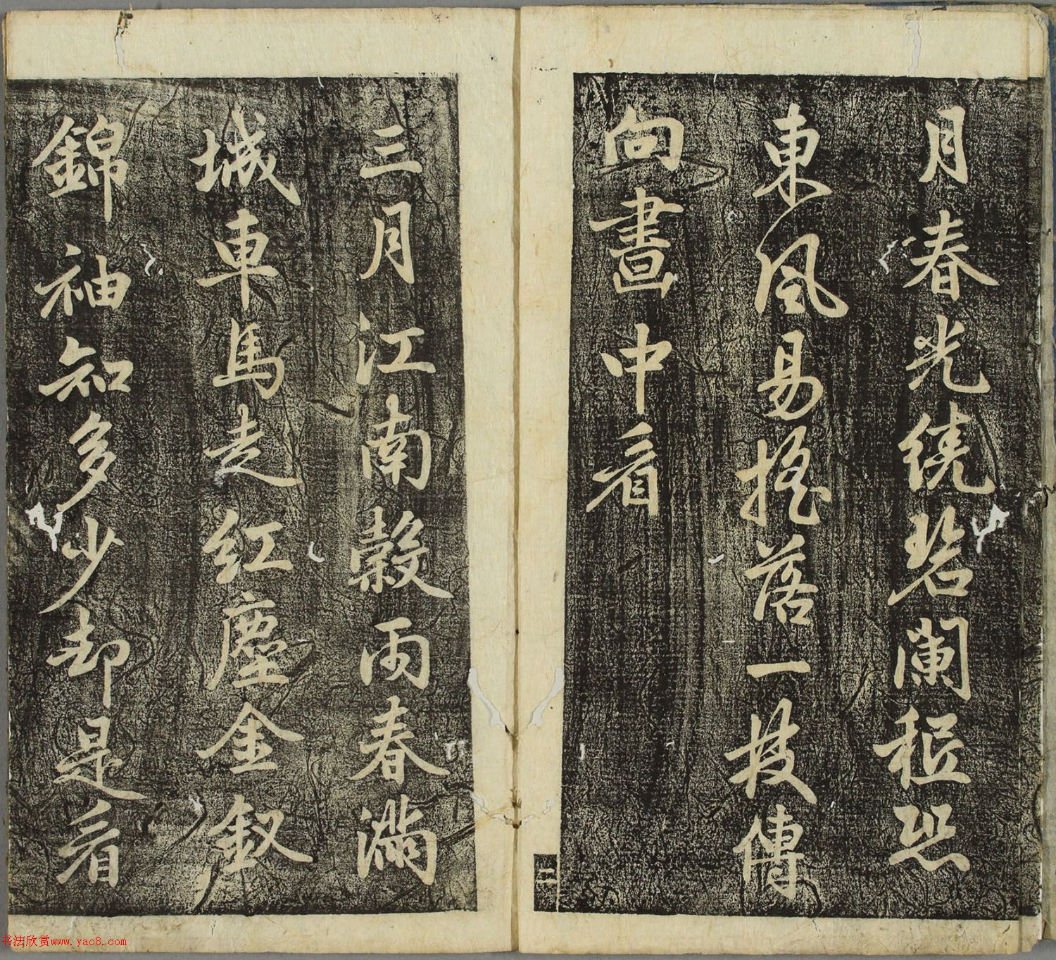 ƴ顶ձأ