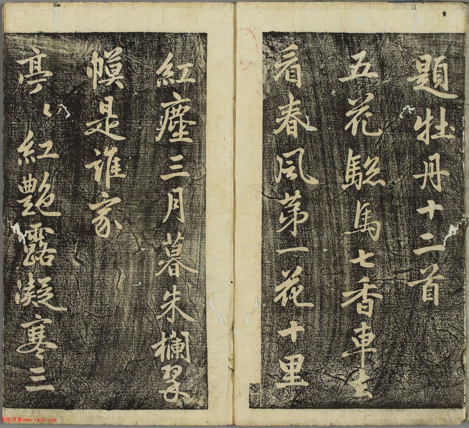ƴ顶ձأ
