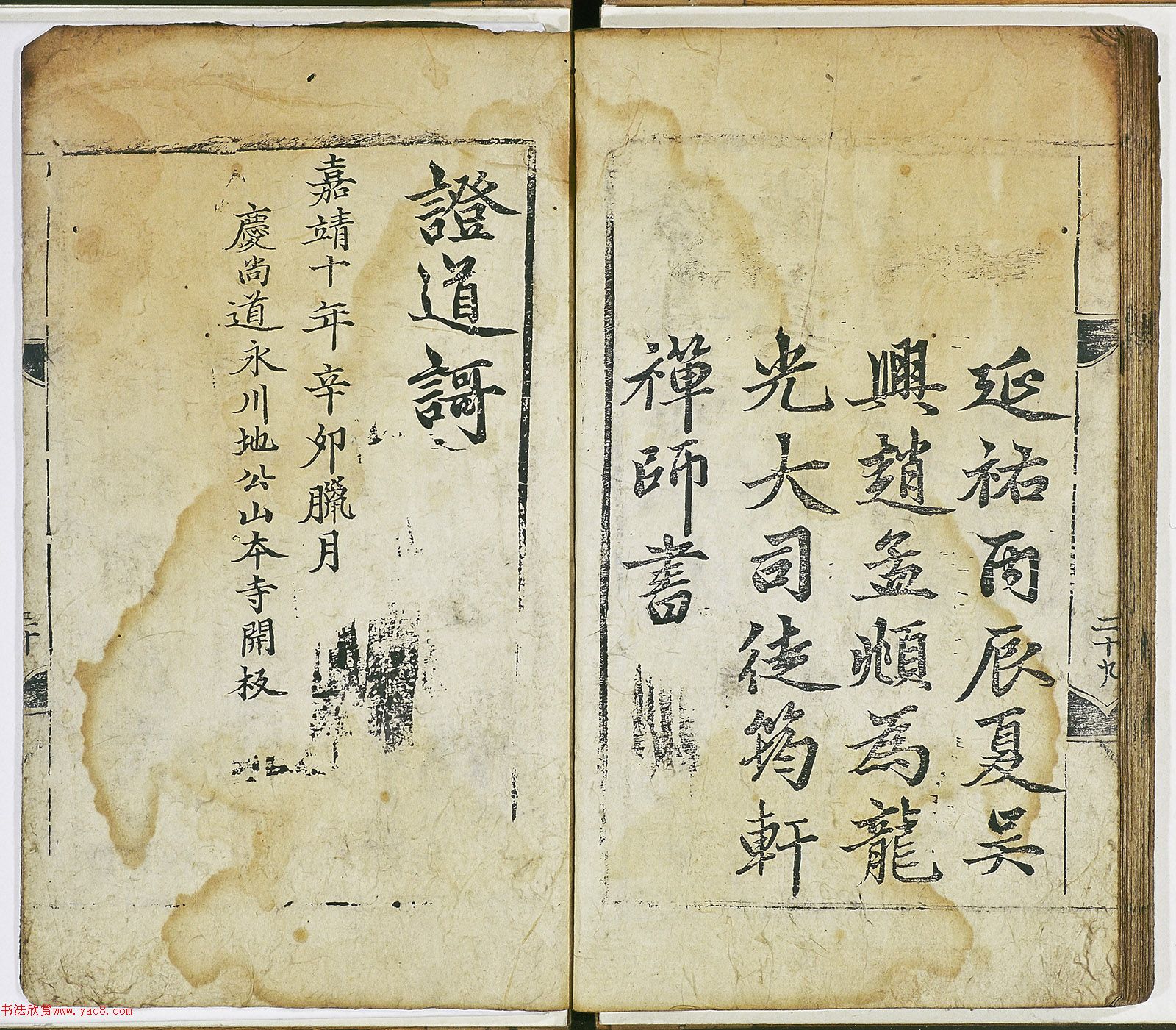 \п顶֤衷ձأ