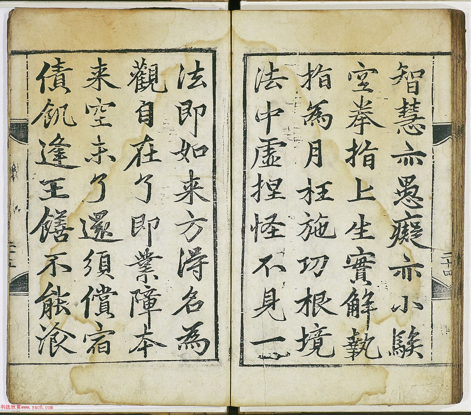 \п顶֤衷ձأ