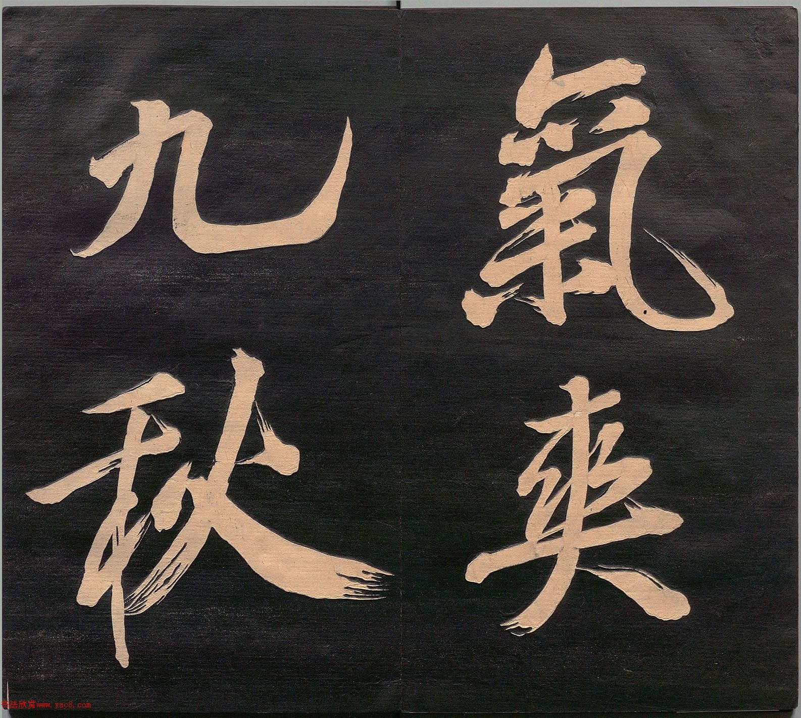 Ԫ顶ؾŻῤ¥(ձ)