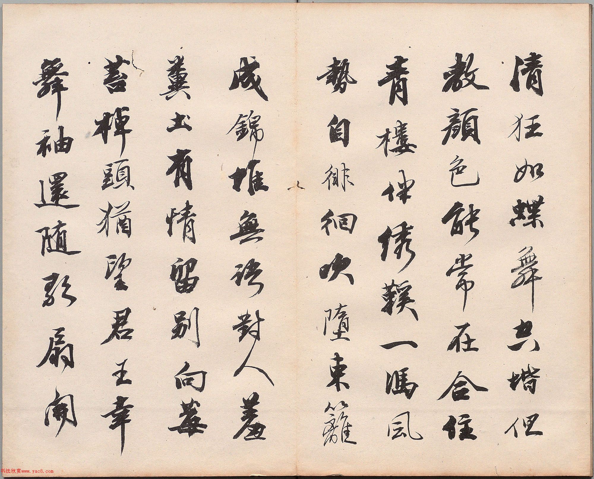 顶¥仨ʫձ