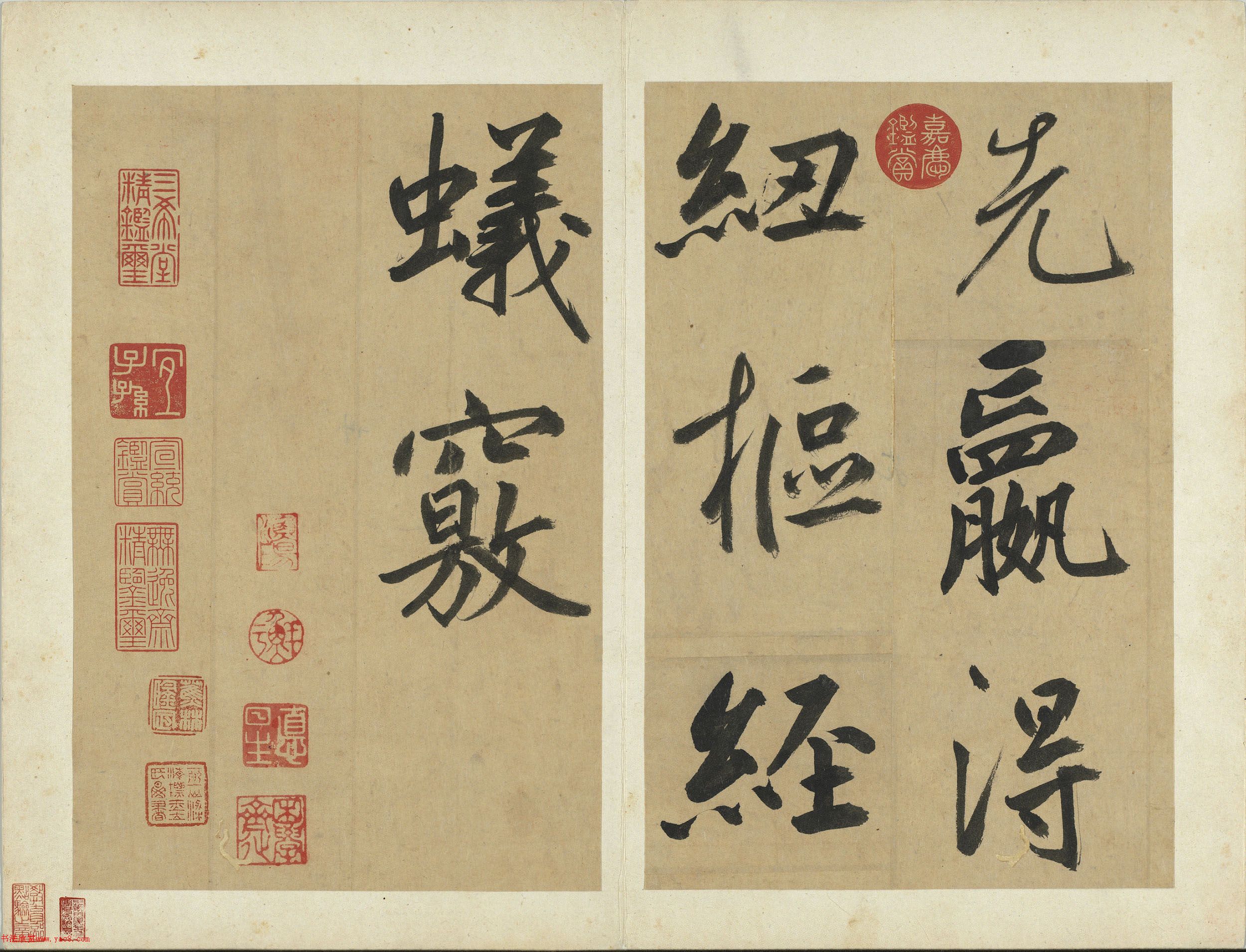 鷨͸ž衷