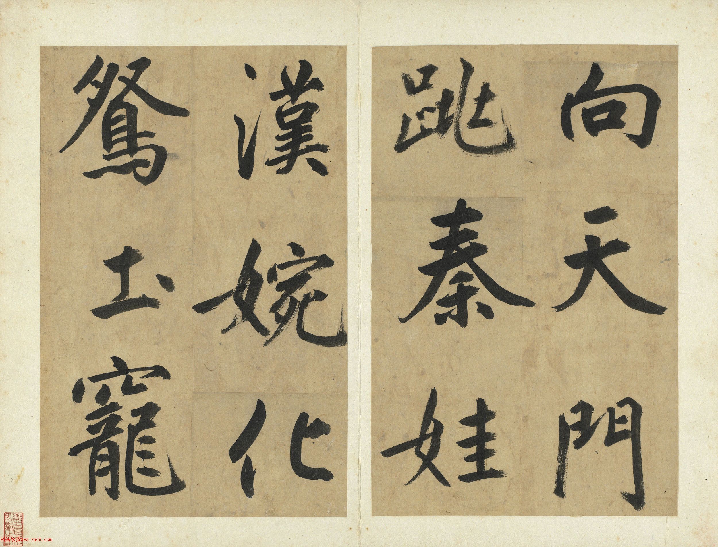 鷨͸ž衷