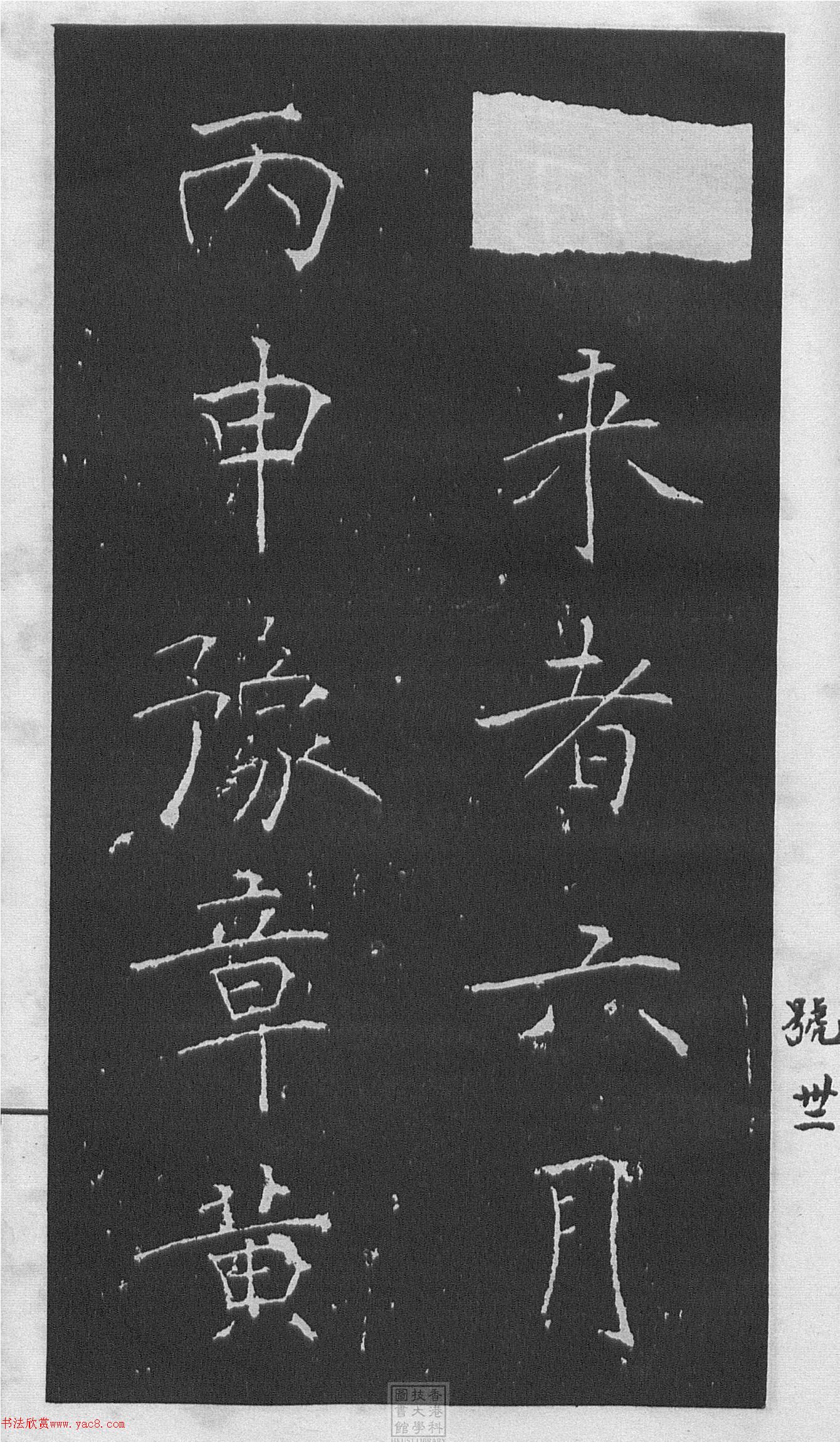 ͥῬ顶