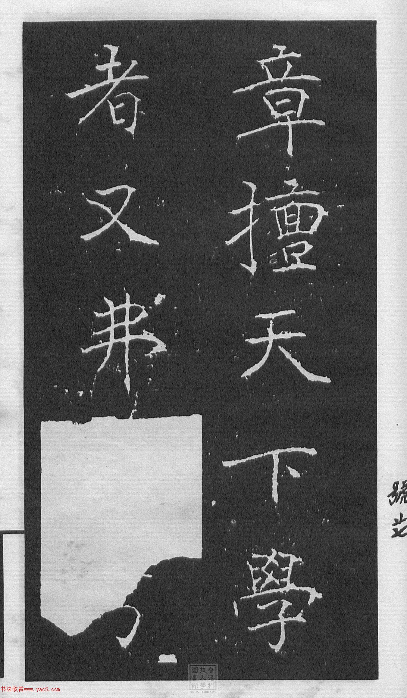 ͥῬ顶