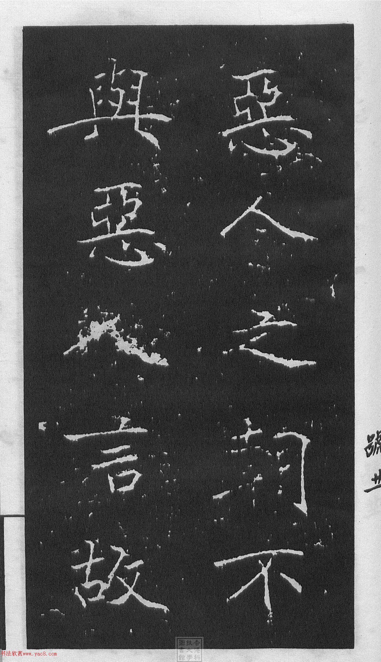 ͥῬ顶