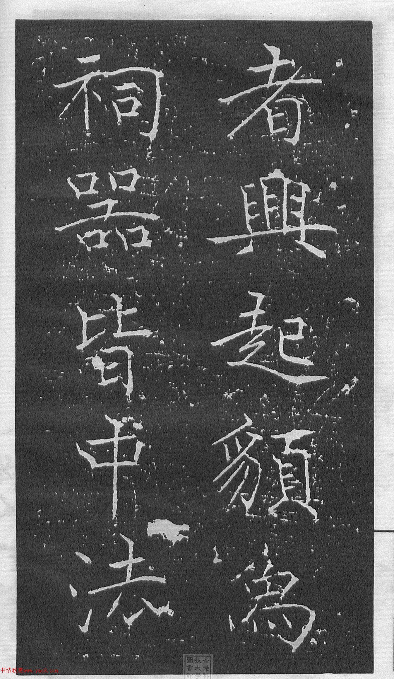 ͥῬ顶