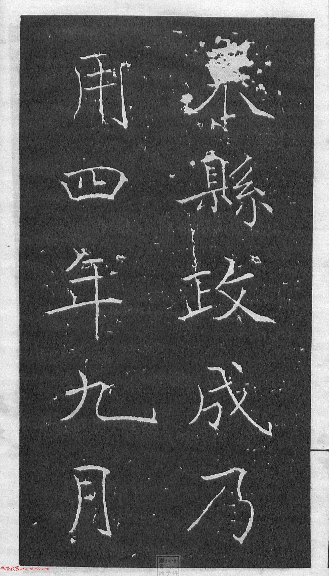 ͥῬ顶