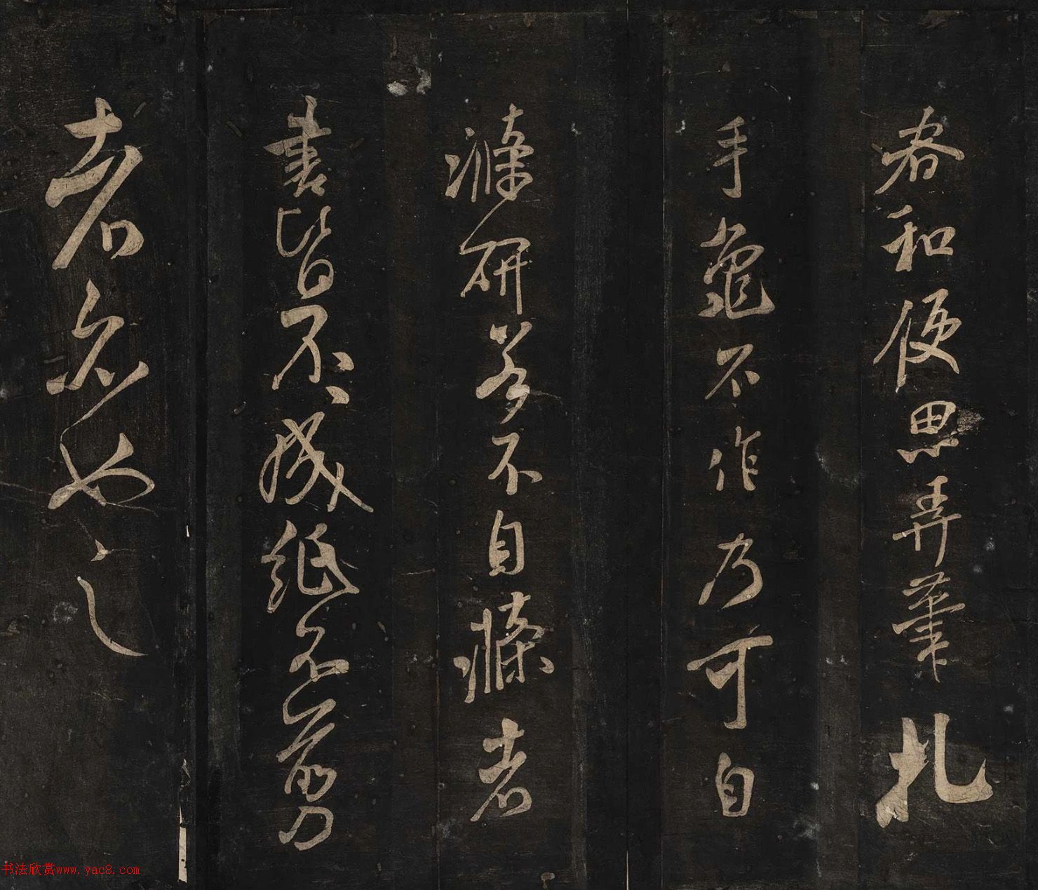鼭̡ɹ