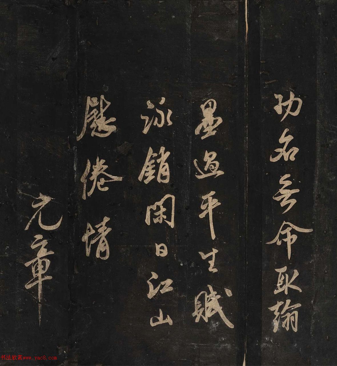 鼭̡ɹ