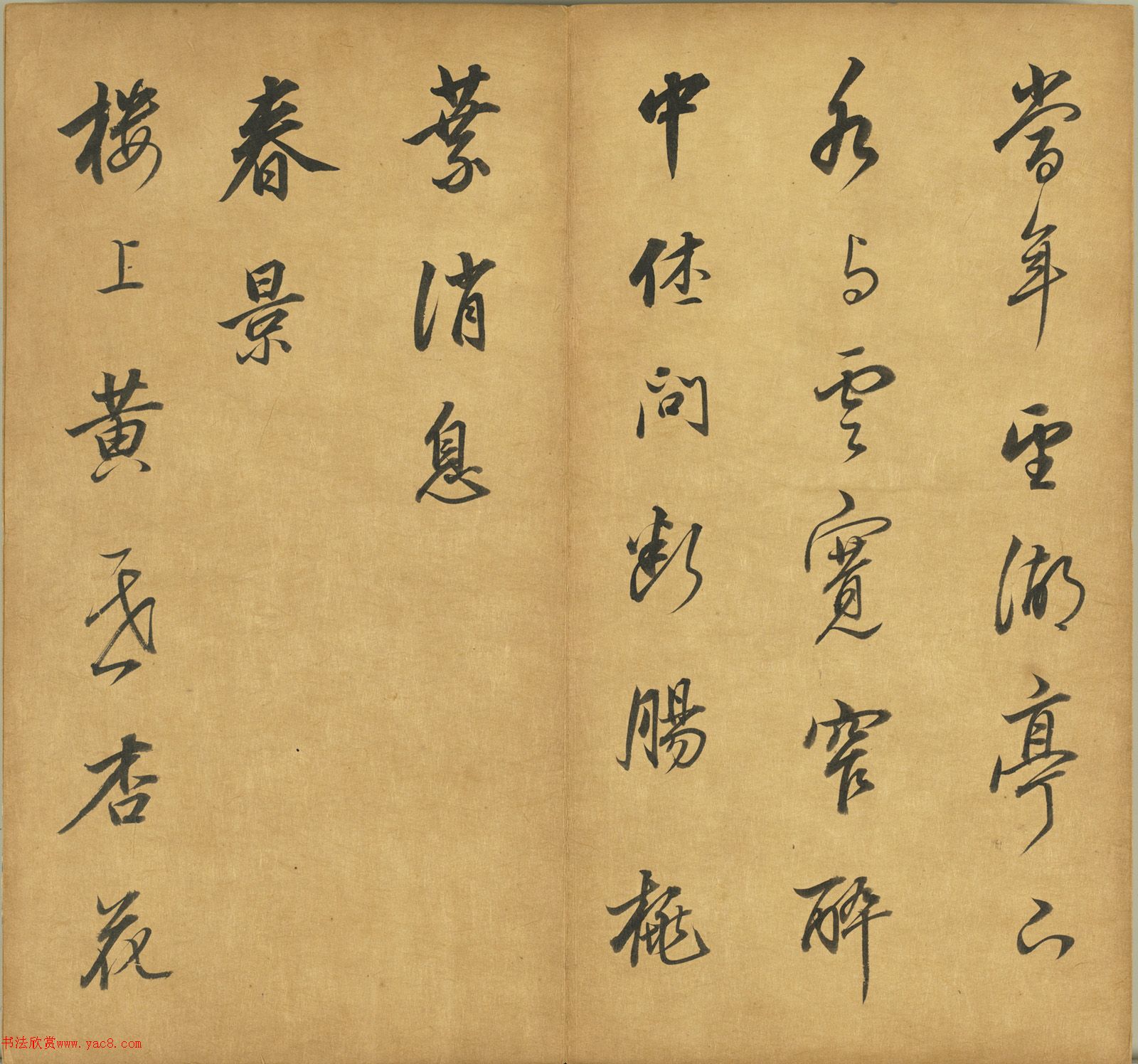 董其昌行书册页《宋词三首》