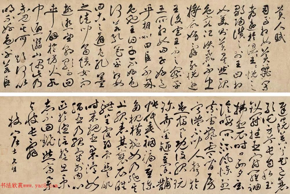 祝允明草书作品欣赏《美人赋》卷