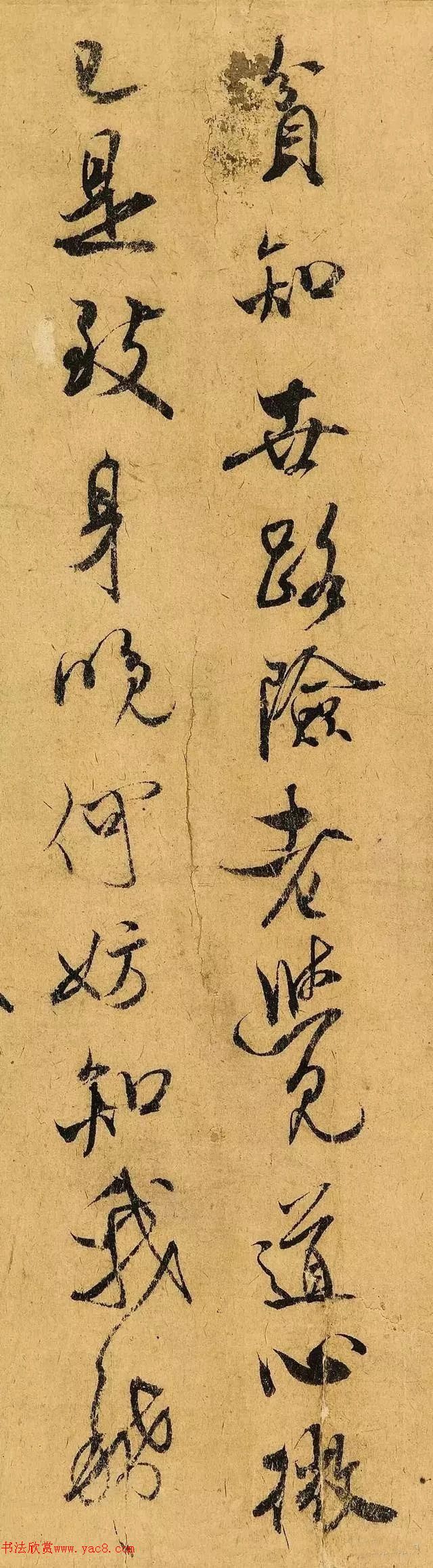 米芾行书题跋苏轼《枯木怪石图》