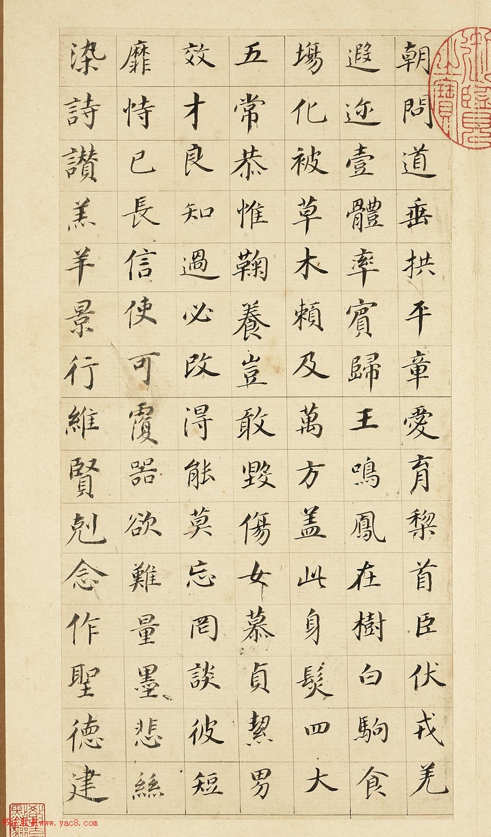 66꿬ǧĲ