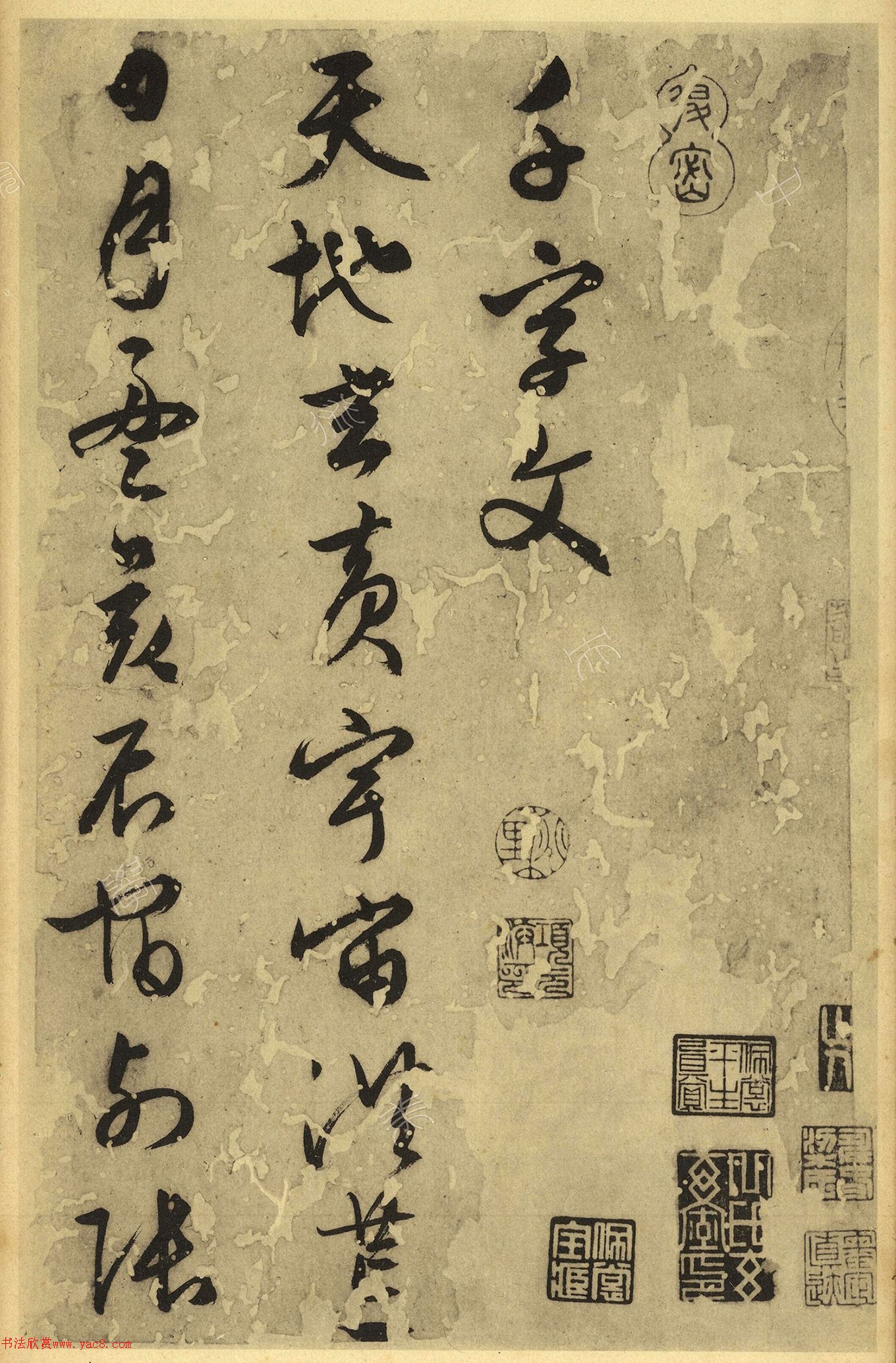 ď66ǧģް棩